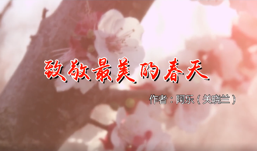 2020331     ˡйƷչ֮